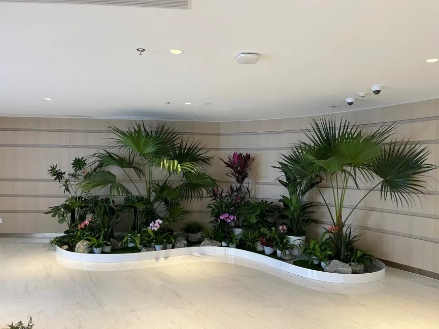 宁波海曙盆景租摆方案，开启绿植租赁新体验